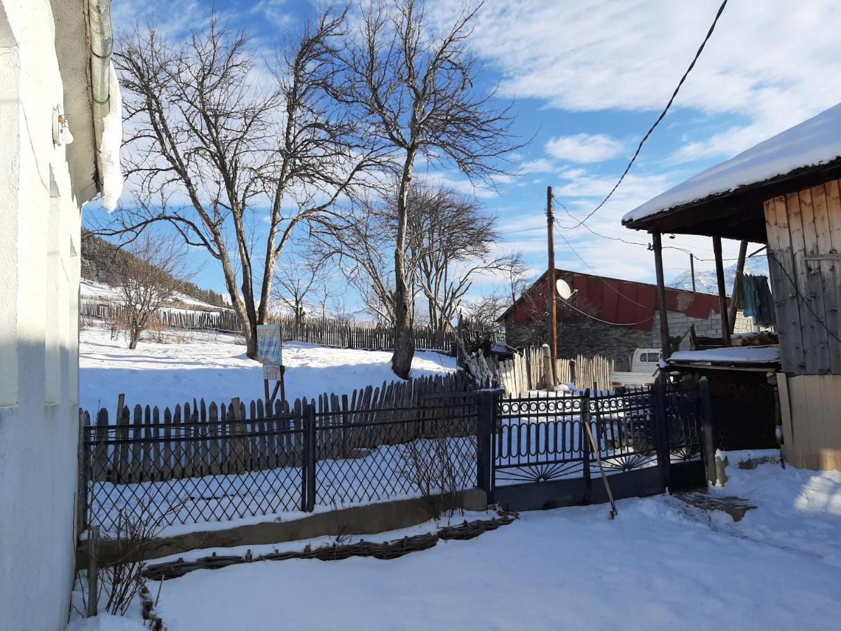 Shorena'S Homestay Tsvirmi Exterior photo